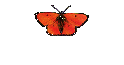 Hhnerstall